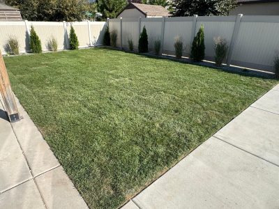 WhatsApp Image 2025-09-25 at 12.34.39 PM (2)