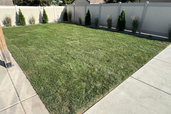 WhatsApp Image 2025-09-25 at 12.34.39 PM (2)